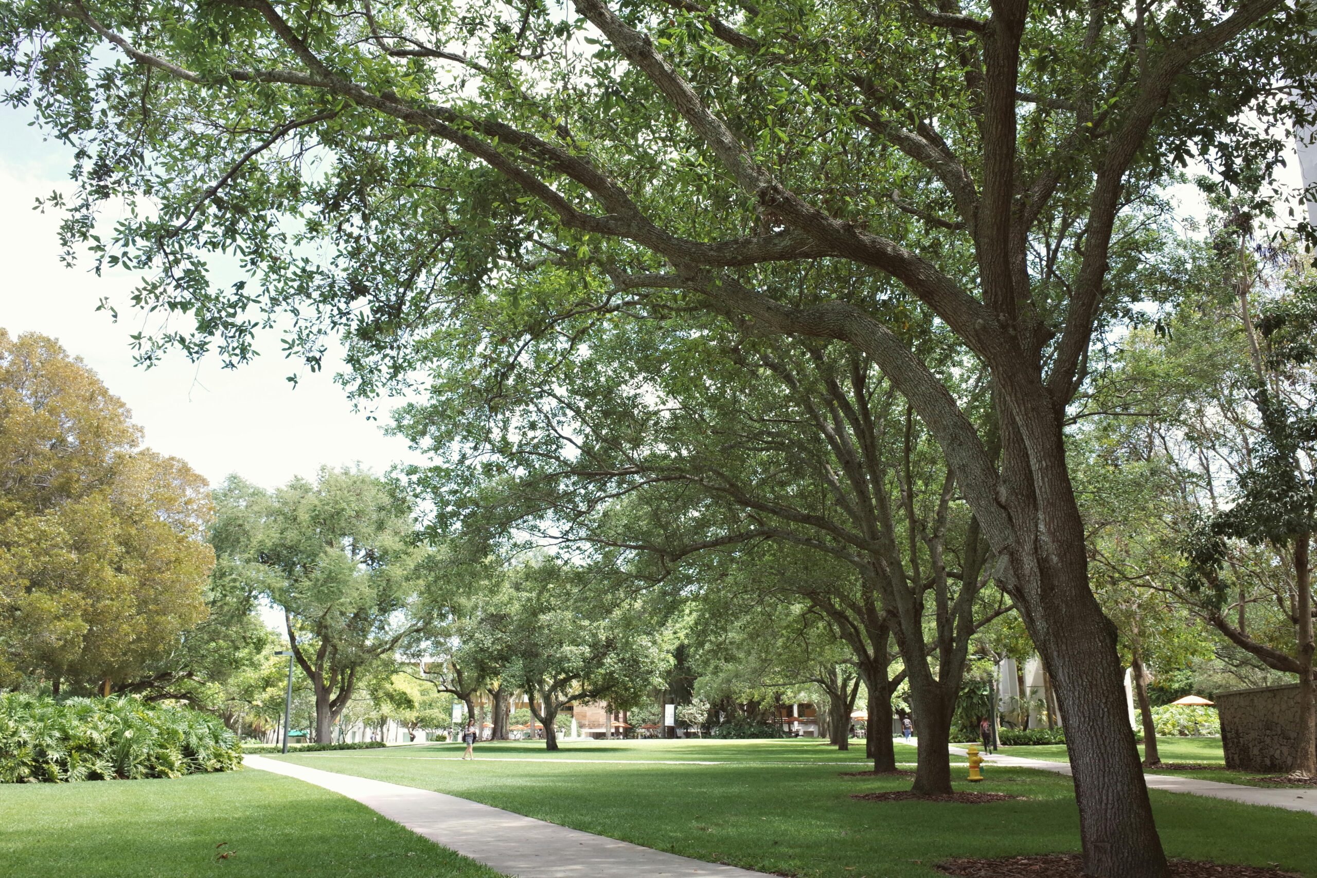 The Worst Housing Market in the U.S.: What Went Wrong in Cape Coral, Florida 2 Housing Market