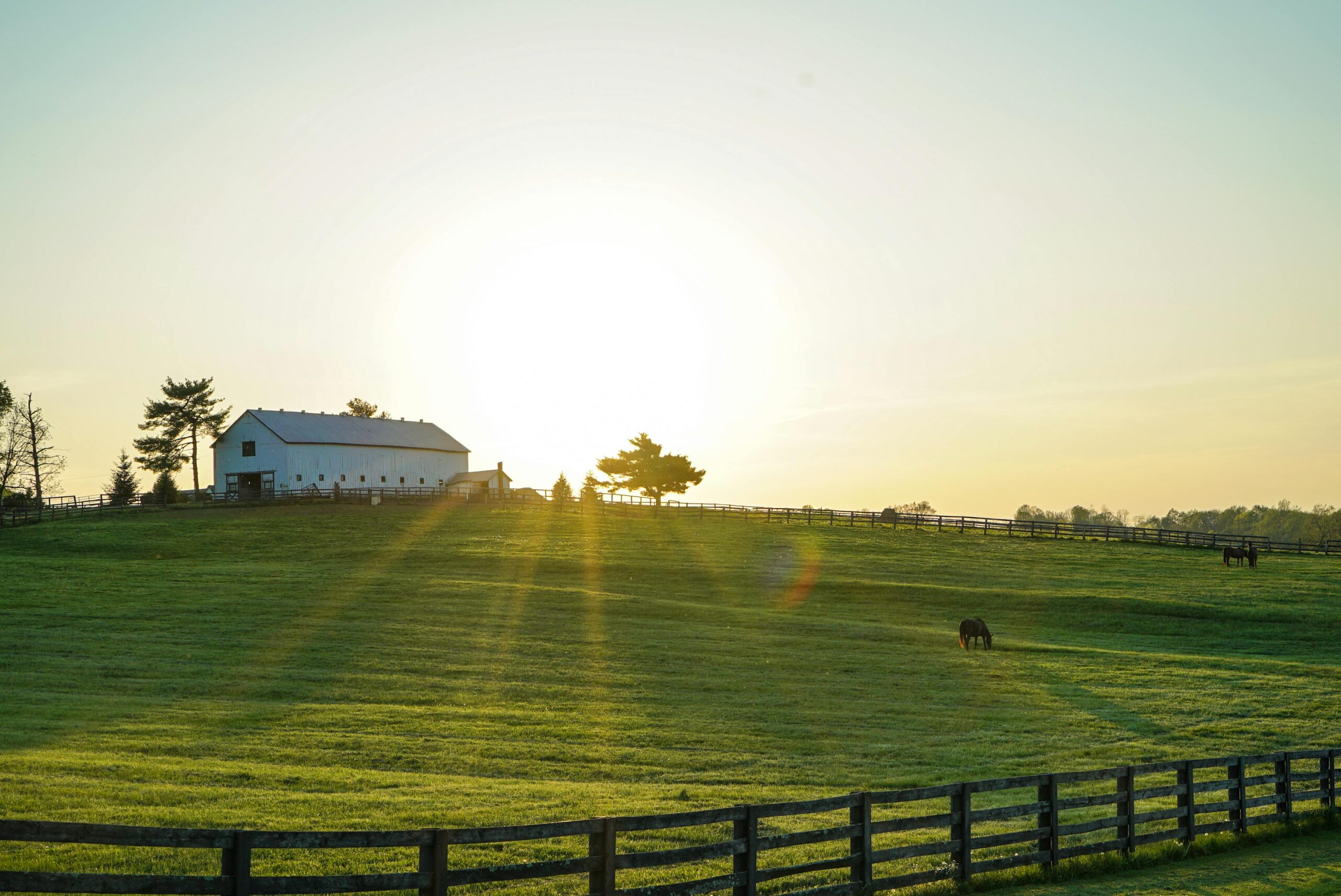Texas Has More Ranches for Sale Than Any Other State 1 Ranches for Sale
