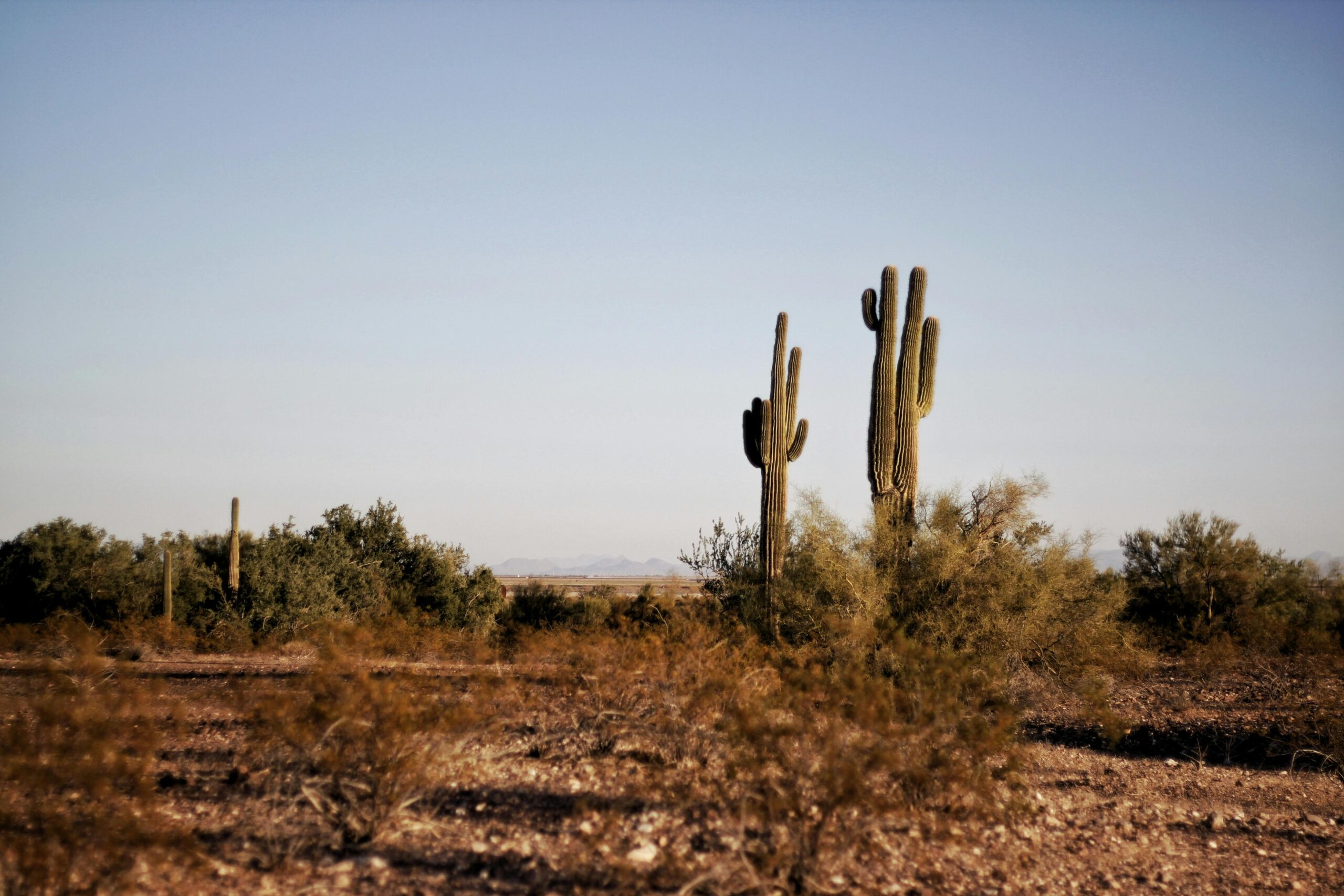 The Ranch: Gilbert Approves $1 Billion Mixed-Use Development 2 Mixed-Use Development