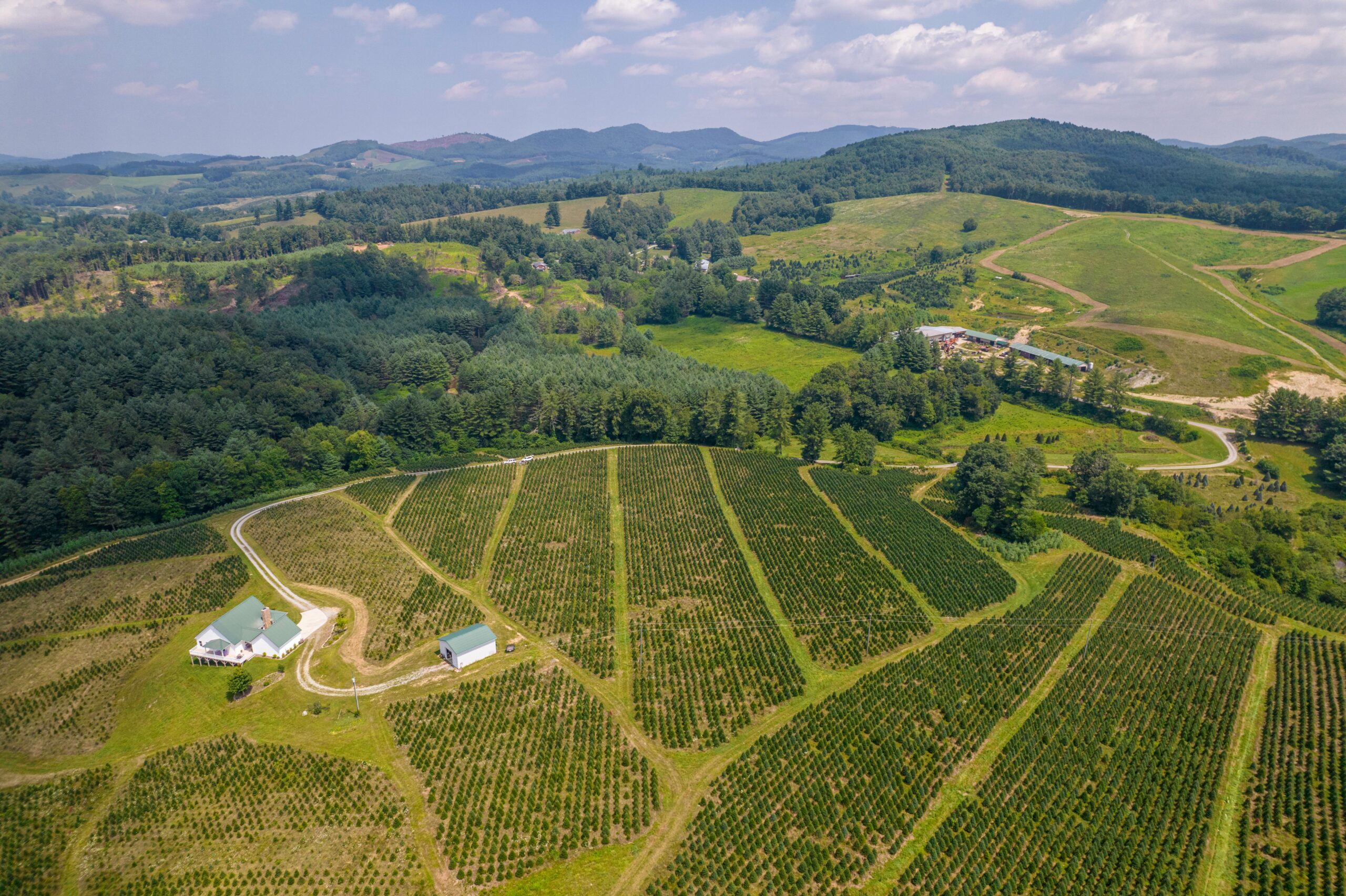 Beloved $2.2M Missouri Christmas Tree Farm Hits the Market After Four Decades of Family Tradition 2