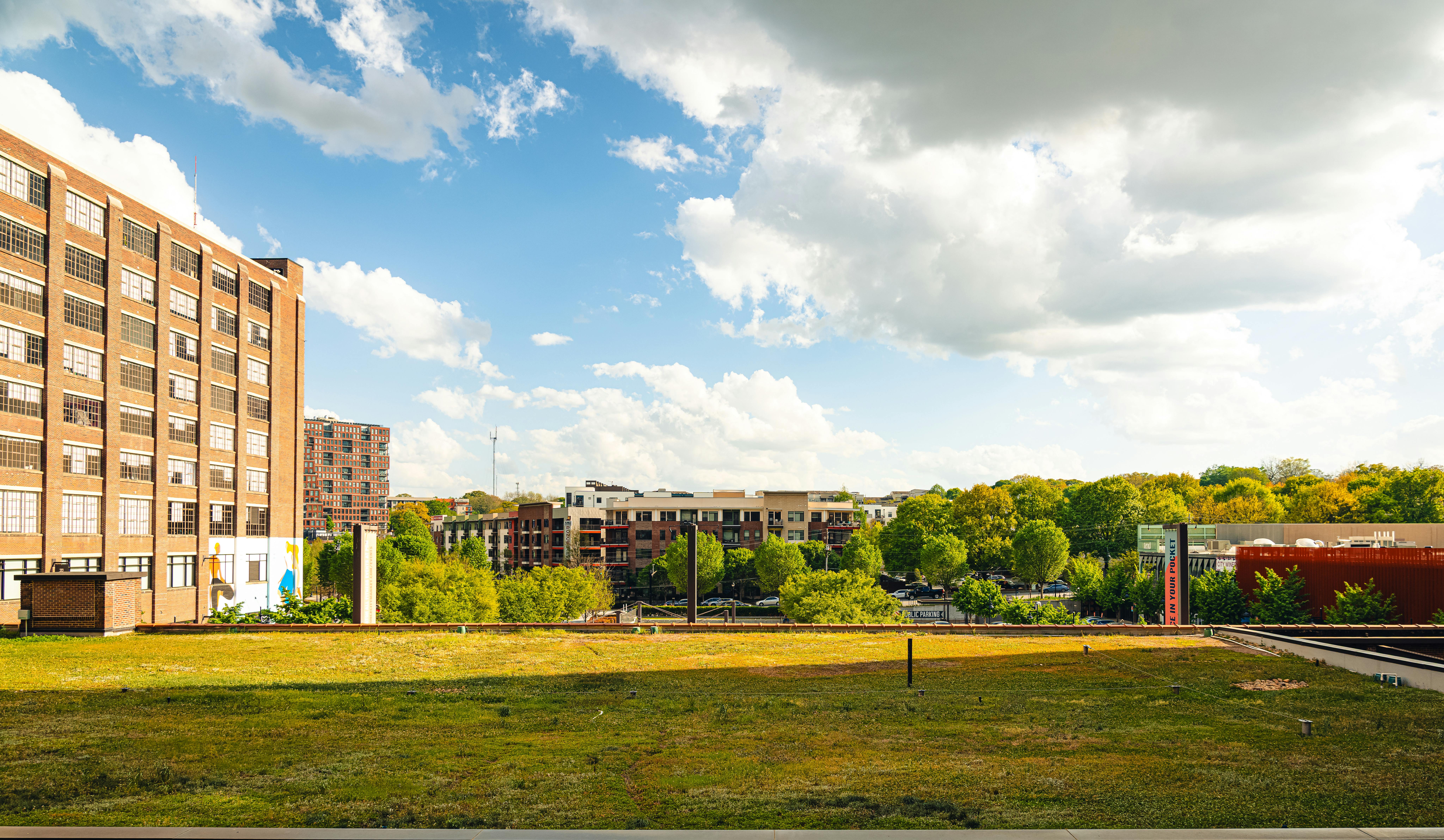 pexels luis negron 260501657 31556254