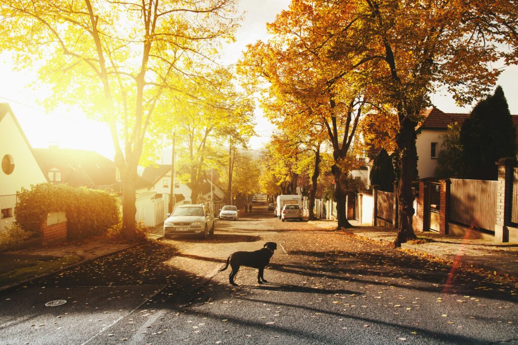 Why Small-Town Real Estate Is Becoming Big Business for Investors