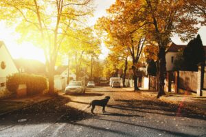 Blogs and Articles 18 Why Small-Town Real Estate Is Becoming Big Business for Investors